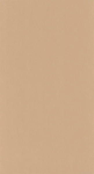 Tapeta BRUME CARAMEL Casadeco 202732432 1