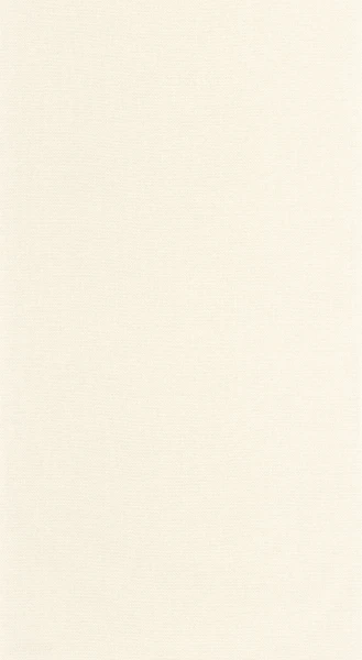 Tapeta UNI BRUME Caselio 107990394 1