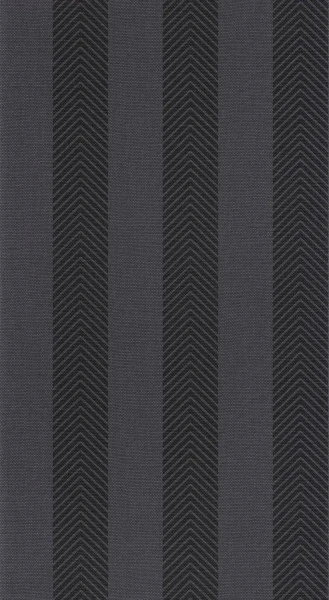 Tapeta RAYURE CHEVRON NOIR Caselio 108029037 1