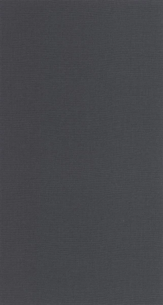 Tapeta UNI GRIS ANTHRACITE Caselio 107999674 1