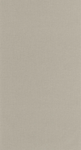 Tapeta UNI GRIS FLANELLE Caselio 107999500 1