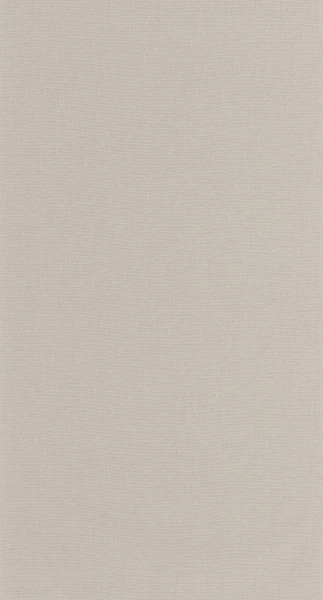 Tapeta UNI GRIS TOURTERELLE Caselio 107999416 1
