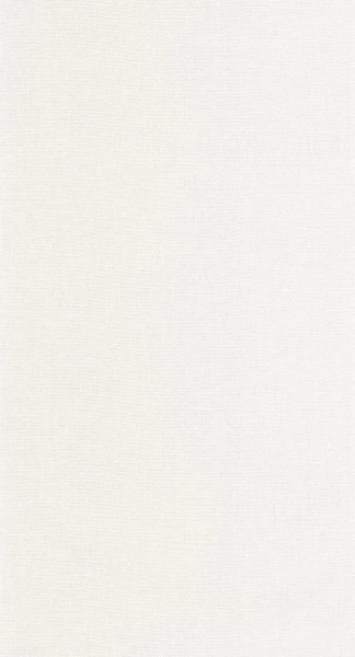 Tapeta UNI GRIS LUNAIRE Caselio 107999123 1