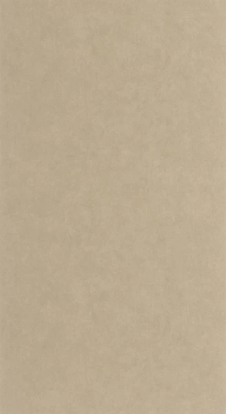 Tapeta SOLEA BEIGE LIN Casadeco 202661212 1