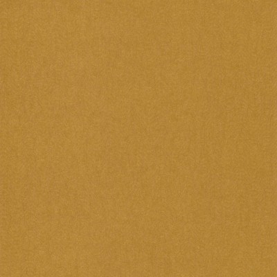 CASAMANCE_72342272.jpg