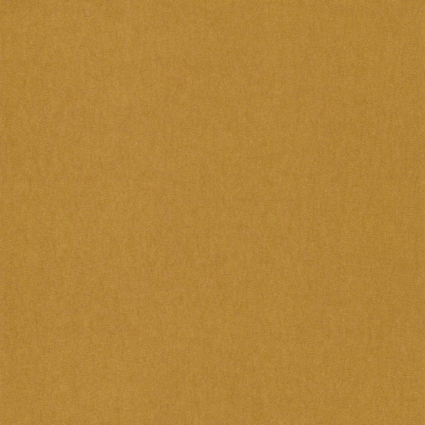 CASAMANCE_72342272.jpg