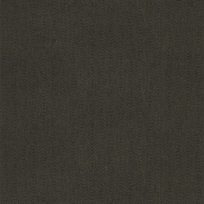 CASAMANCE_72342374.jpg