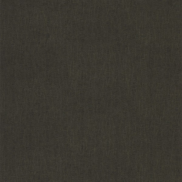 CASAMANCE_72342374.jpg