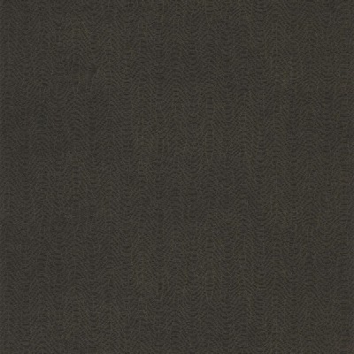 CASAMANCE_72342374 (1).jpg