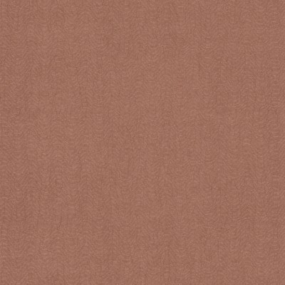 CASAMANCE_72342476.jpg