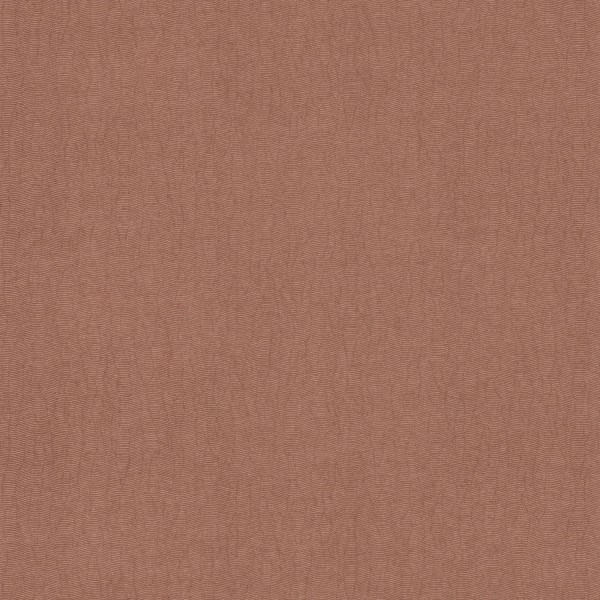 CASAMANCE_72342476.jpg