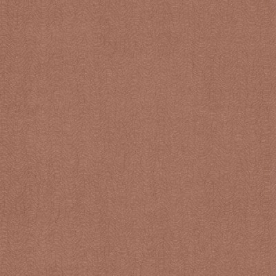 CASAMANCE_72342476 (1).jpg
