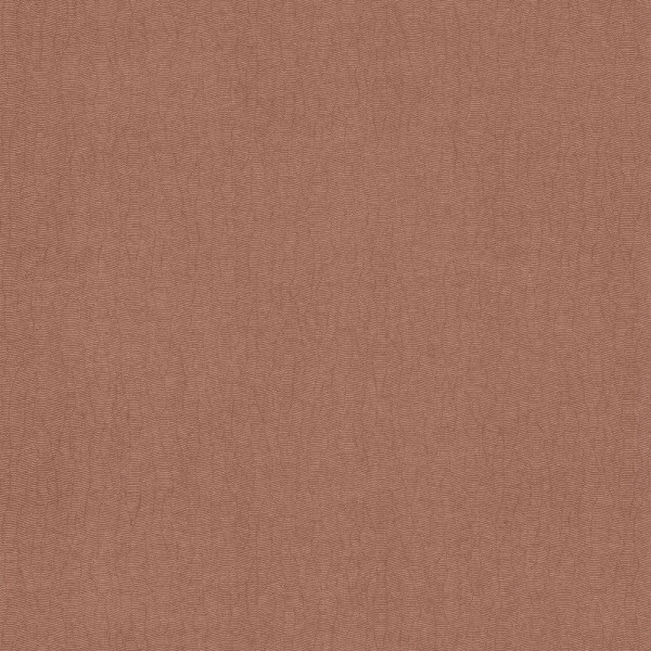 CASAMANCE_72342476 (1).jpg