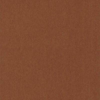 CASAMANCE_72342578.jpg