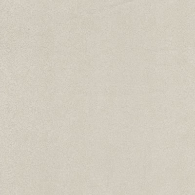 CASAMANCE_72350165.jpg
