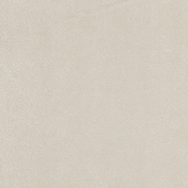 CASAMANCE_72350165.jpg