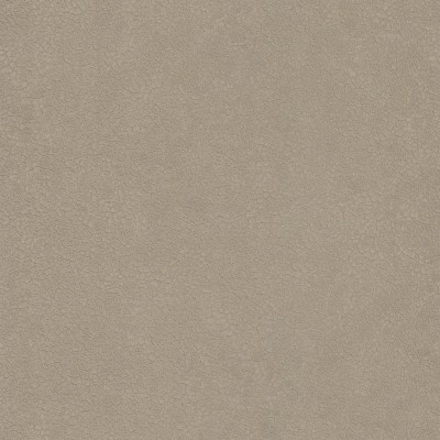 CASAMANCE_72350335.jpg