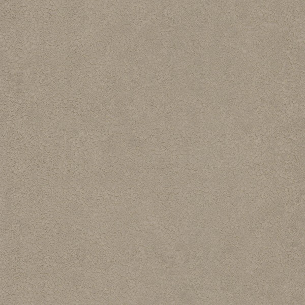 CASAMANCE_72350335.jpg