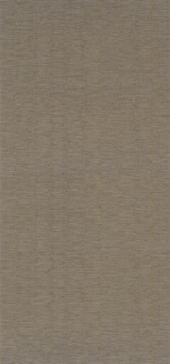 CASAMANCE_75072244.jpg