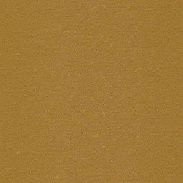 CASAMANCE_72122964.jpg