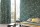 CASADECO_NATSU-NATS-ambiance-oiseau-vert-jaune.jpg