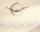 pol_pl_Tapeta-Casadeco-Rose-Nino-Nuage-29751296-15359_7.jpg
