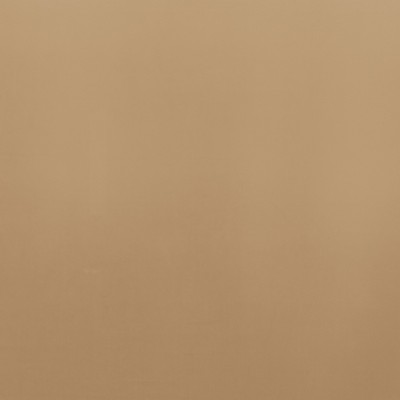 CAMENGO_42791549.jpg