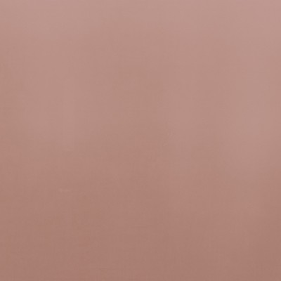 CAMENGO_42791801.jpg