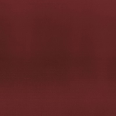CAMENGO_42792073.jpg