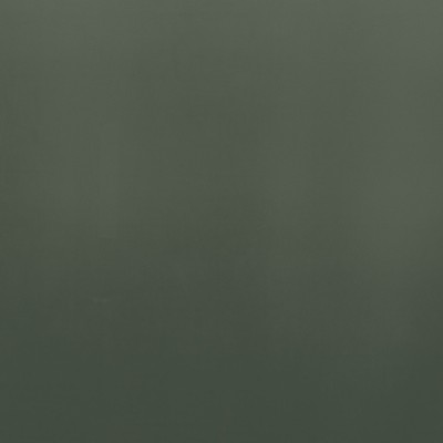CAMENGO_42792641.jpg