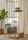 25203eb450cf49cbd936e722c8bbec1d.webp