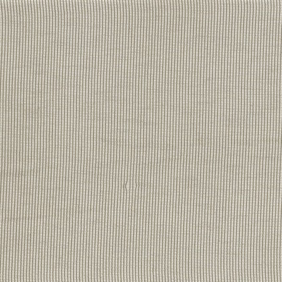 CAMENGO_40340221.jpg