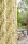 camengo-port-pin-fabric-1.jpg