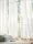 153813.webp