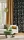 164949.webp