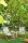 121729.webp