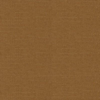 CAMENGO_43591642.jpg