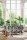 164958.webp
