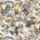 CASAMANCE_43170433.jpg