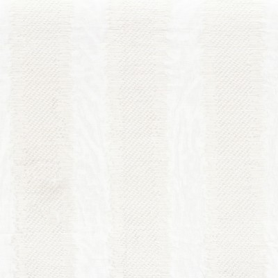 CASAMANCE_43180110.jpg