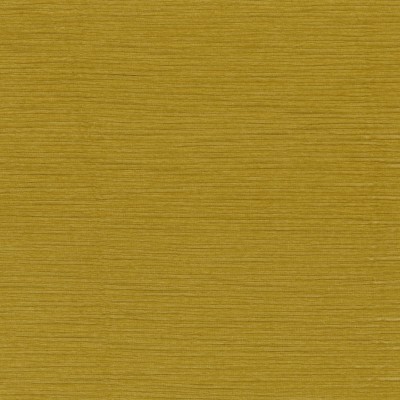 CASAMANCE_43190400.jpg