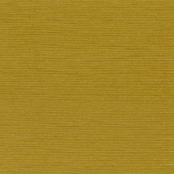 CASAMANCE_43190400.jpg