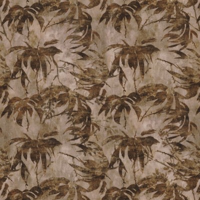 CASAMANCE_43210308.jpg