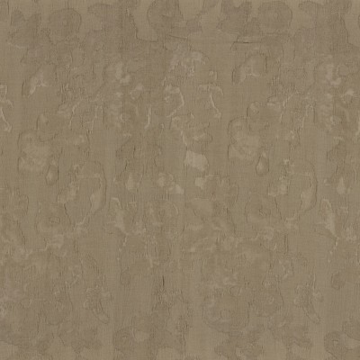 CASAMANCE_43290254.jpg