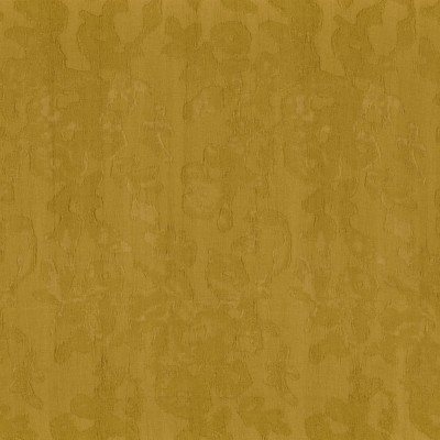 CASAMANCE_43290519.jpg