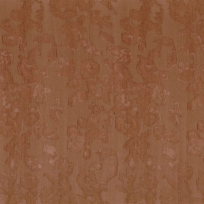 CASAMANCE_43290683.jpg