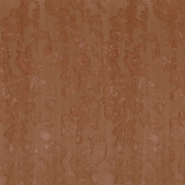 CASAMANCE_43290683.jpg