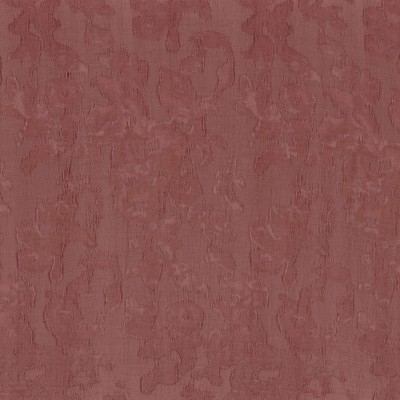 CASAMANCE_43290760.jpg