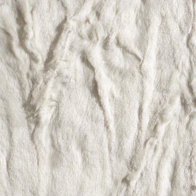 CASAMANCE_5910128.jpg