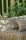 141324.webp
